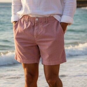 Chubbies Pink Originals Shorts  XL 7" Inseam Boomshakalaka Sky's Out Thighs Out